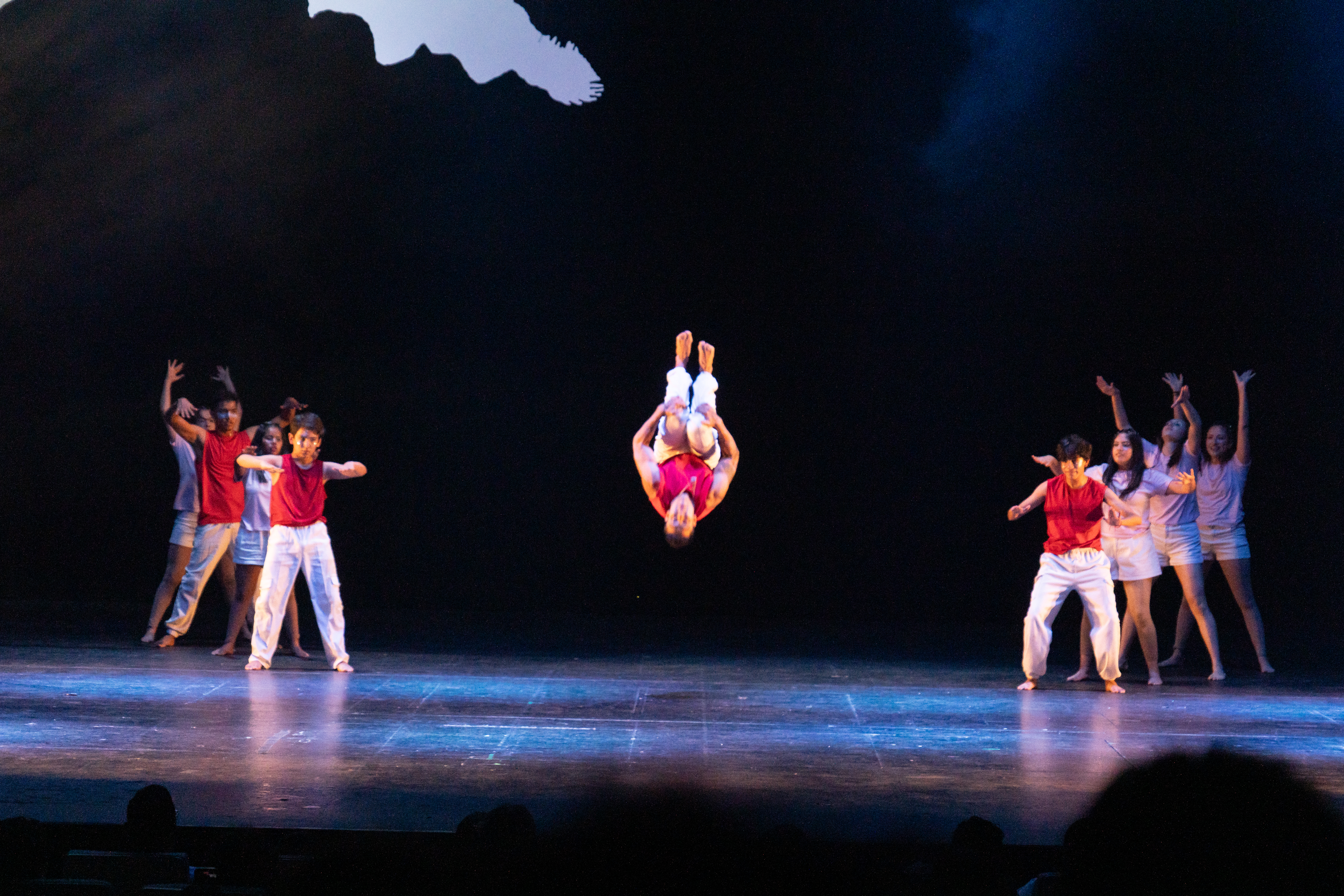 Clase de Acrobacia y balances