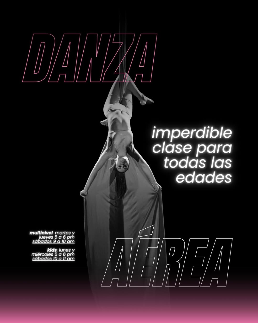 Danza Aérea
